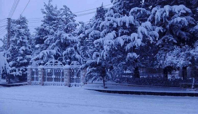 صور لتساقط الثلج في مدينة دمشق وريفها20 01 2022 at 10.47.10 5