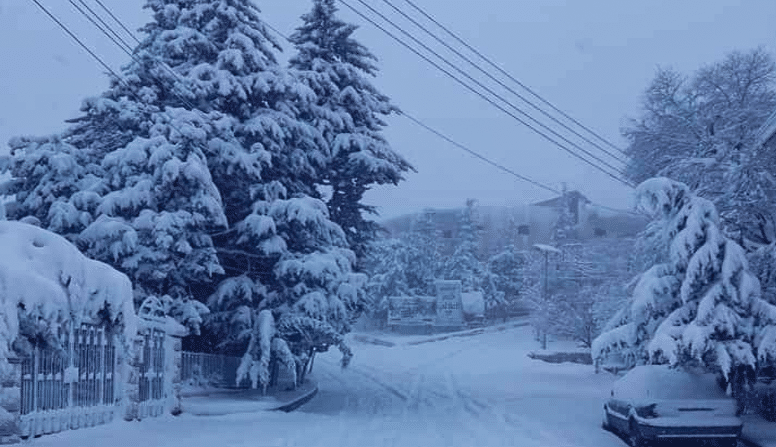صور لتساقط الثلج في مدينة دمشق وريفها20 01 2022 at 10.47.10 7