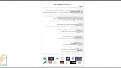 ميثاق شرف للجنوب السوري